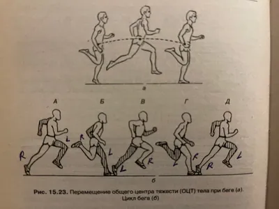 Редактирование элементов эскиза. Команда Перенос