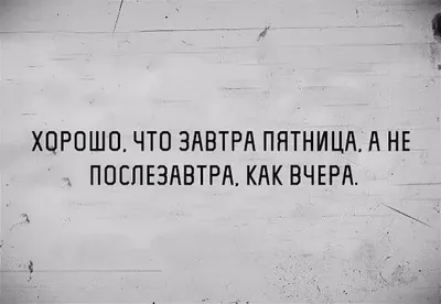 Да прибудет с вами пятница - прикольные картинки про работу | Mixnews