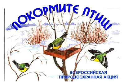 Акция «Покормите птиц зимой» — МБУ ДО ЭЦ ЭкоСфера г. Липецка