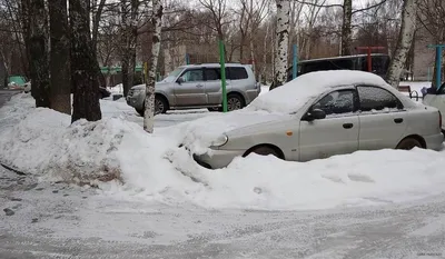 В последний день января в Карелии похолодает | СТОЛИЦА на Онего