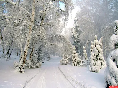 ❄️Последний день января 2020 года❄️ . Я надеюсь, что все ставили себе цели  на 2020 год и уже сделали первые шаги по тому, как прийти к желаемому … |  Outdoor, Snow