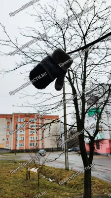 В Камышине в последний день января морозы сдаются, город накрыл утренний  туман