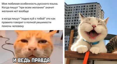 Правда жизни / фото приколы (новые и лучшие приколы, самые смешные  прикольные фотографии и юмор в картинках, фишкинет) :: Сурово :: правда  жизни / смешные картинки и другие приколы: комиксы, гиф анимация,