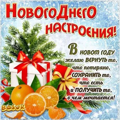 И стыдно, и смешно: самые странные новогодние снимки, которые когда-либо вы  видели в жизни – фото