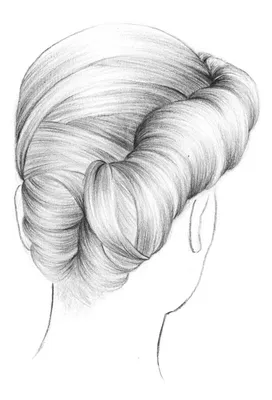 Рисунки красивых причесок | Hair sketch, Beauty art drawings, Long hair  drawing