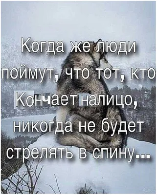 Расскажите одну ситуацию, которая не даёт вам спать по ночам? Я был в парке  и услышал, как женщина / социальные сети :: смешные картинки (фото приколы)  / смешные картинки и другие приколы: