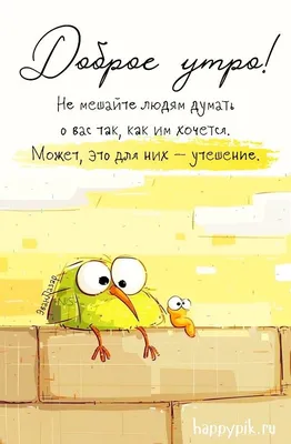 Доброе утро воскресенье картинки прикольные смешные гифки