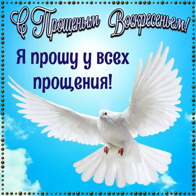 Прощеное воскресенье. Вывод цыплят и снегопад. | Ни к селу,ни к городу. |  Дзен