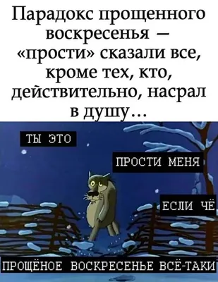 Смешная открытка с Днём Рождения с прикольным котом и стишком • Аудио от  Путина, голосовые, музыкальные