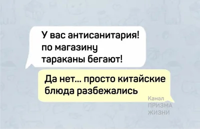 Просто смешные коты (14 фото) » Триникси