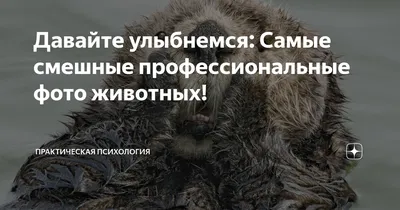 Юмористический компонент как фактор повышения сложности интеллектуальных  задач (на примере теста Д. Векслера) – тема научной статьи по  психологическим наукам читайте бесплатно текст научно-исследовательской  работы в электронной библиотеке КиберЛенинка