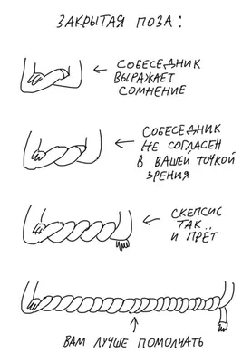 Нервная, уставшая белка. Прикол с белкой. Смешная картинка про нервные  клетки. | Рождественские портреты, Иллюстрации, Смешные плакаты