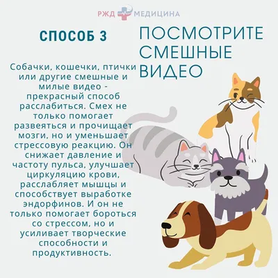 Жила-была девочка, похожая на тебя... Психотерапевтические истории для  детей. Издательство Класс 22426395 купить в интернет-магазине Wildberries