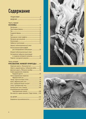 Реалистичные рисунки карандашом - Наша Чудесная Планета: Наука и факты,  №438028973 | Фотострана – cайт знакомств, развлечений и игр