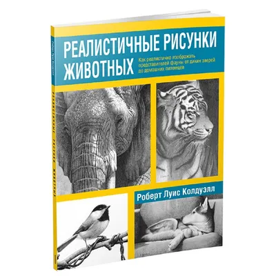 Реалистичные рисунки карандашом от Paul Lung | Пикабу