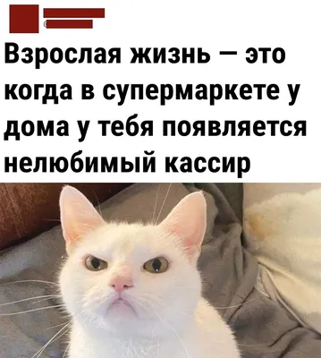 Новые картинки прикольные смешные