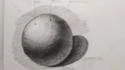 Свет и тень в рисунке карандашом | РИСУЮ ДОМА | Дзен