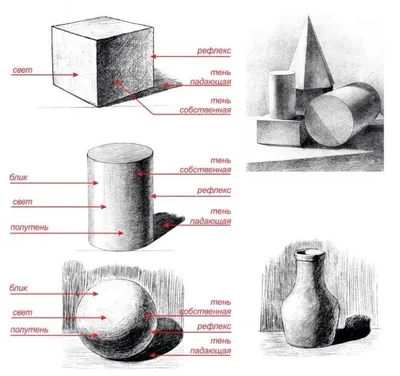 Светотень | Натюрморты, Рисунок, Светотень