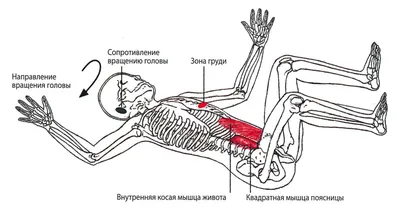 Откуда берётся объём? Как вы понимаете, чтобы рисунок был реалистичным,  нужно не только правильно построить предметы, но и придать им… | Instagram