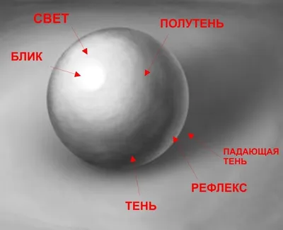 Свет и тень в рисунке - 83 фото