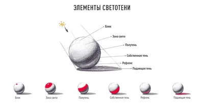 Академический рисунок уроки с нуля ‒ курс в Санкт-Петербурге