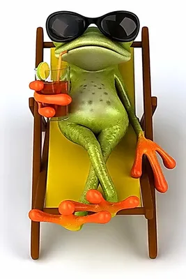 Relax Frog | Frog pictures, Funny frogs, Frog art