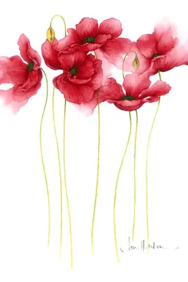 Великолепные акварели Jan Harbon | Журнал Ярмарки Мастеров | Flower art,  Watercolor flowers, Watercolor art