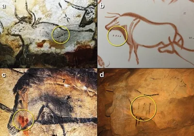 Древние люди умели писать — первая письменность найдена на пещерных рисунках  - Hi-News.ru