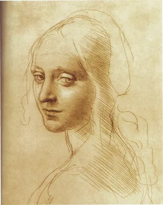 Leonardo da vinci portrait, Leonardo da vinci, Best artist