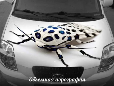 Что выбрать: аэрографию или пленку? - Автобеседка