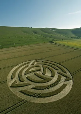 Загадочные круги на полях – 56 фотографий (ФОТО) | Crop circles, Circle  art, Crop circles sacred geometry