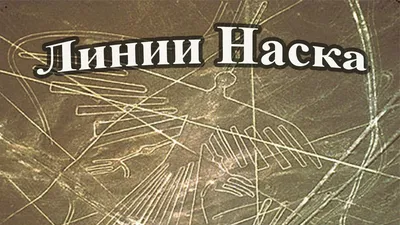 Раскрыта тайна загадочных гигантских рисунков в пустыне Наска - Hi-Tech  Mail.ru