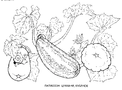 Раскраски овощи и фрукты для 6 лет (53 фото) » рисунки для срисовки на  Газ-квас.ком