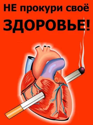 STOP SMOKING! — Государственное бюджетное общеобразовательное учреждение  средняя общеобразовательная школа № 553 с углубленным изучением английского  языка Фрунзенского района Санкт-Петербурга