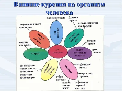 ВЫСТАВКА РИСУНКОВ «НОВОЕ ПОКОЛЕНИЕ ПРОТИВ ТАБАКА» – ШГ №24