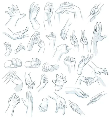 Как рисовать руки: советы, подсказки. | Hand drawing reference, How to draw  hands, Drawing people