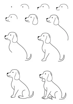 Рисунки для срисовки карандашом собаки — Стихи, картинки и любовь