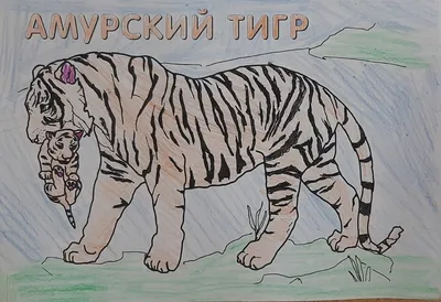 Рисунок тигренка Белый тигр, мультфильм зебра, млекопитающее, кошка, как  млекопитающее png | PNGWing