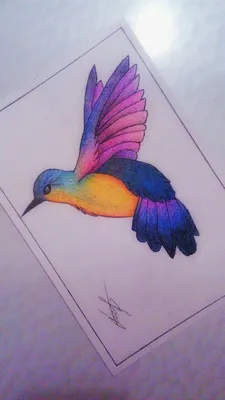 Colibri/Колибри Drawing with colored pencil/ Рисунок цветными карандашами  by MaryMerz | Colored pencil artwork, Colored pencil artwork ideas, Book  art drawings