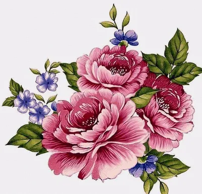 Полевые цветы рисунок акварелью Wild flowers watercolor drawing | Рисунок,  Цветы, Акварель