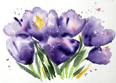 Полевые цветы рисунок акварелью Wild flowers watercolor drawing | Рисунок,  Цветы, Акварель