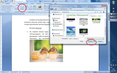 Работа с рисунками в word