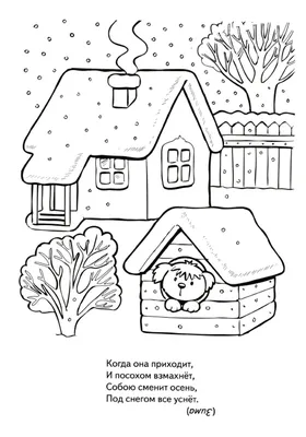 Загадки для детей, Угадай-ка? Загадки про птиц + Урок рисования для детей -  YouTube