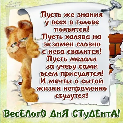 Как в России празднуют День ВДВ. Самые смешные картинки из соцсетей ❘ 18  фото | Ekabu | Дзен