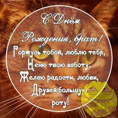 Смешные картинки с днем рождения брату, бесплатно скачать или отправить