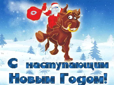 Дорогие друзья! Поздравляем вас с наступающим Новым годом!