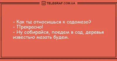 Смак без мака- Смешные стихи- Владимир Сахарцев- ХОХМОДРОМ