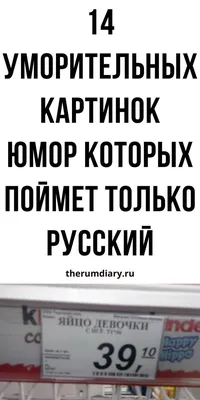 Смешные животные 1 – смотреть онлайн все 36 видео от Смешные животные 1 в  хорошем качестве на RUTUBE