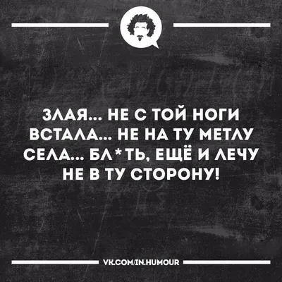 Пешком постою - юмор | приколы | мемы | анекдоты 2023 | ВКонтакте