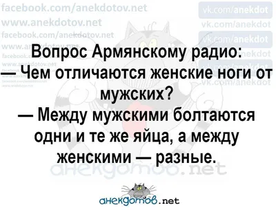 Пин от пользователя Валерий на доске Юмор в 2023 г | Самые смешные цитаты,  Юмор о работе, Мудрые цитаты